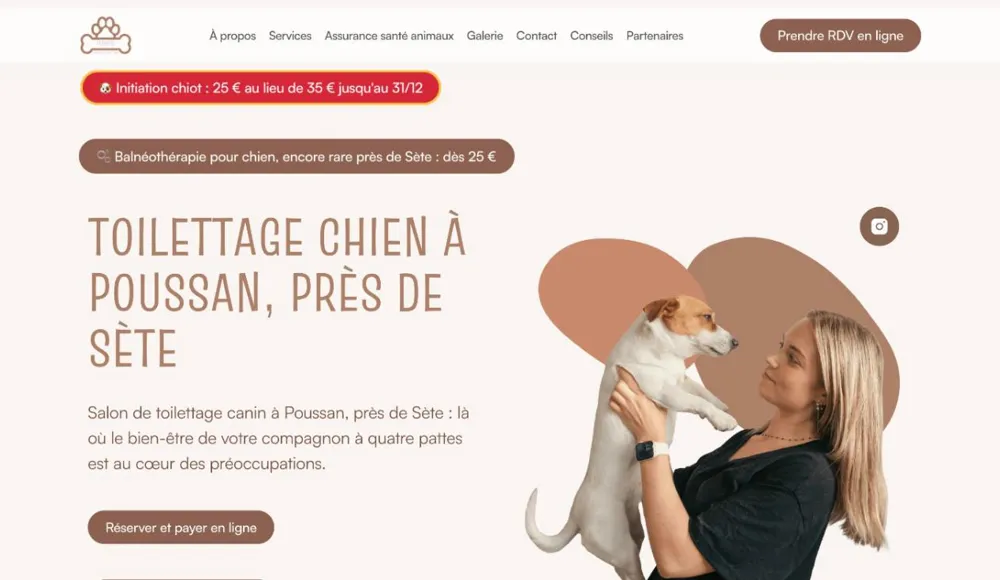 Aperçu du site de Pomoro, salon de toilettage canin à Poussan, refondu par We Dryv Group